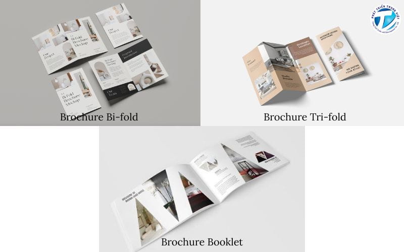 Các loại hình thiết kế brochure 